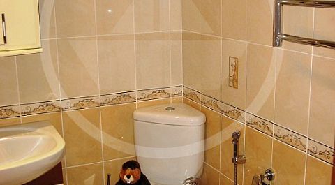 Для компактного размещения был выбран унитаз с угловым бачком, который стоит на невысоком подиуме, чтобы обеспечить соответствующий угол наклона канализационной трубы.