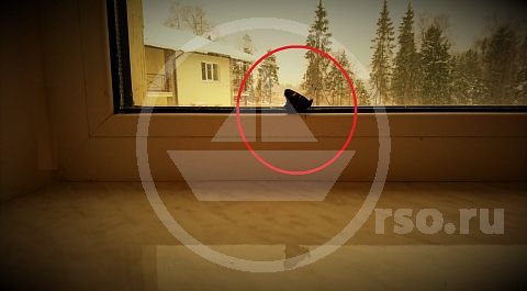 Вот и закончена многомесячная работа по внутреннему обустройству коттеджа в Истринском районе Подмосковья. Первым в новый дом хозяева готовились пустить кота, но неизвестно откуда появившаяся в бабочка дополнила этот обычай приятным сюрпризом.